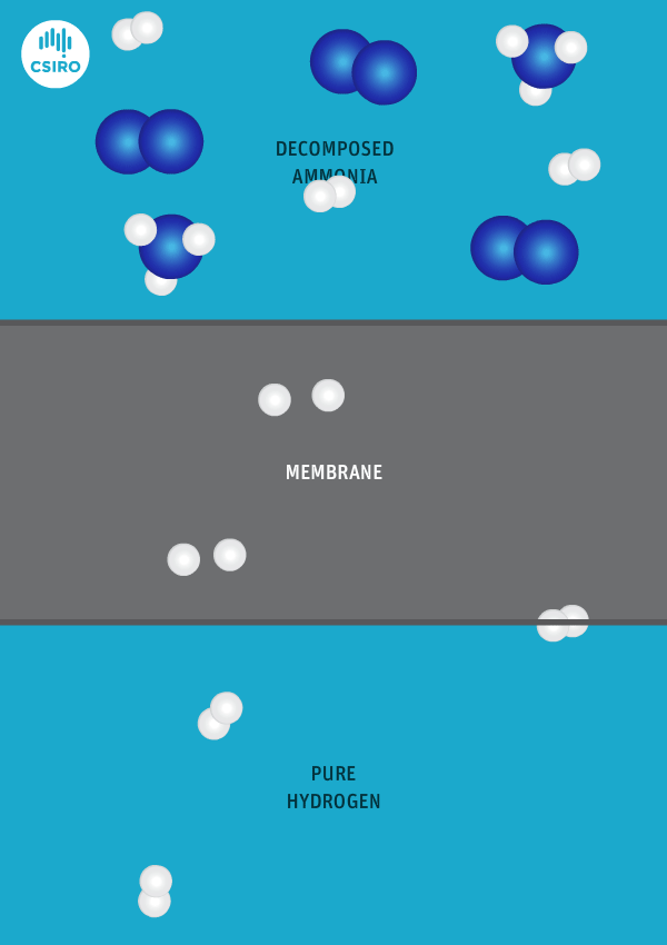 Hydrogen Fuel from Ammonia