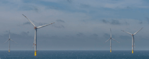 Star of the South - offshore wind farm